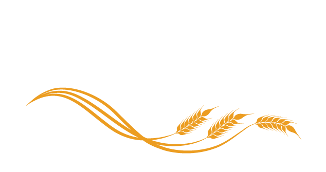 All Peace Realty Ltd